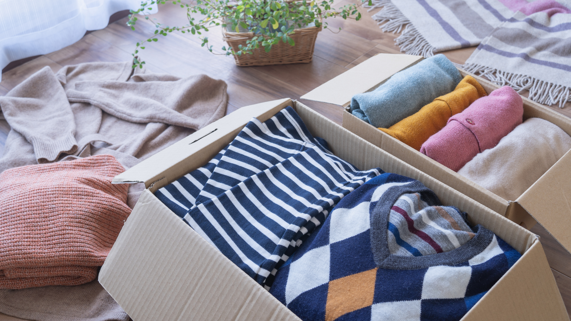 【個人編】服の環境問題に対して私たちができること