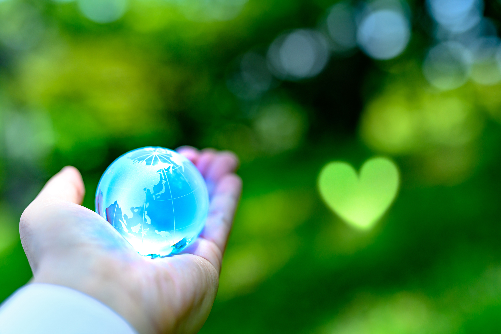 大量廃棄が引き起こす環境・社会への影響