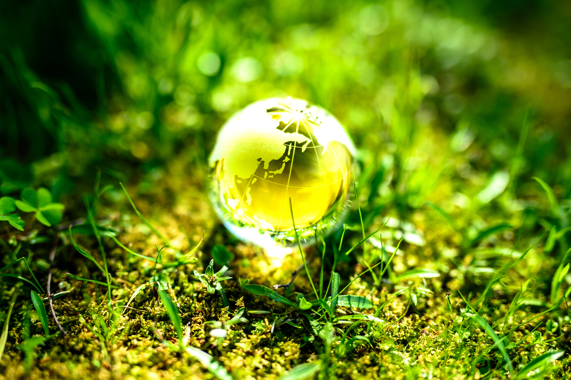 ファッション業界が抱える問題