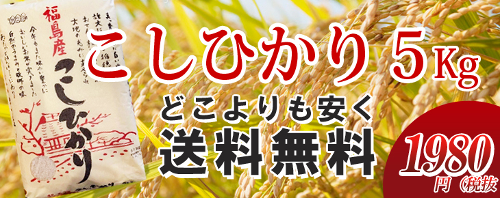 コシヒカリ5kg 送料込1980円超特価】シングルマザー シングル